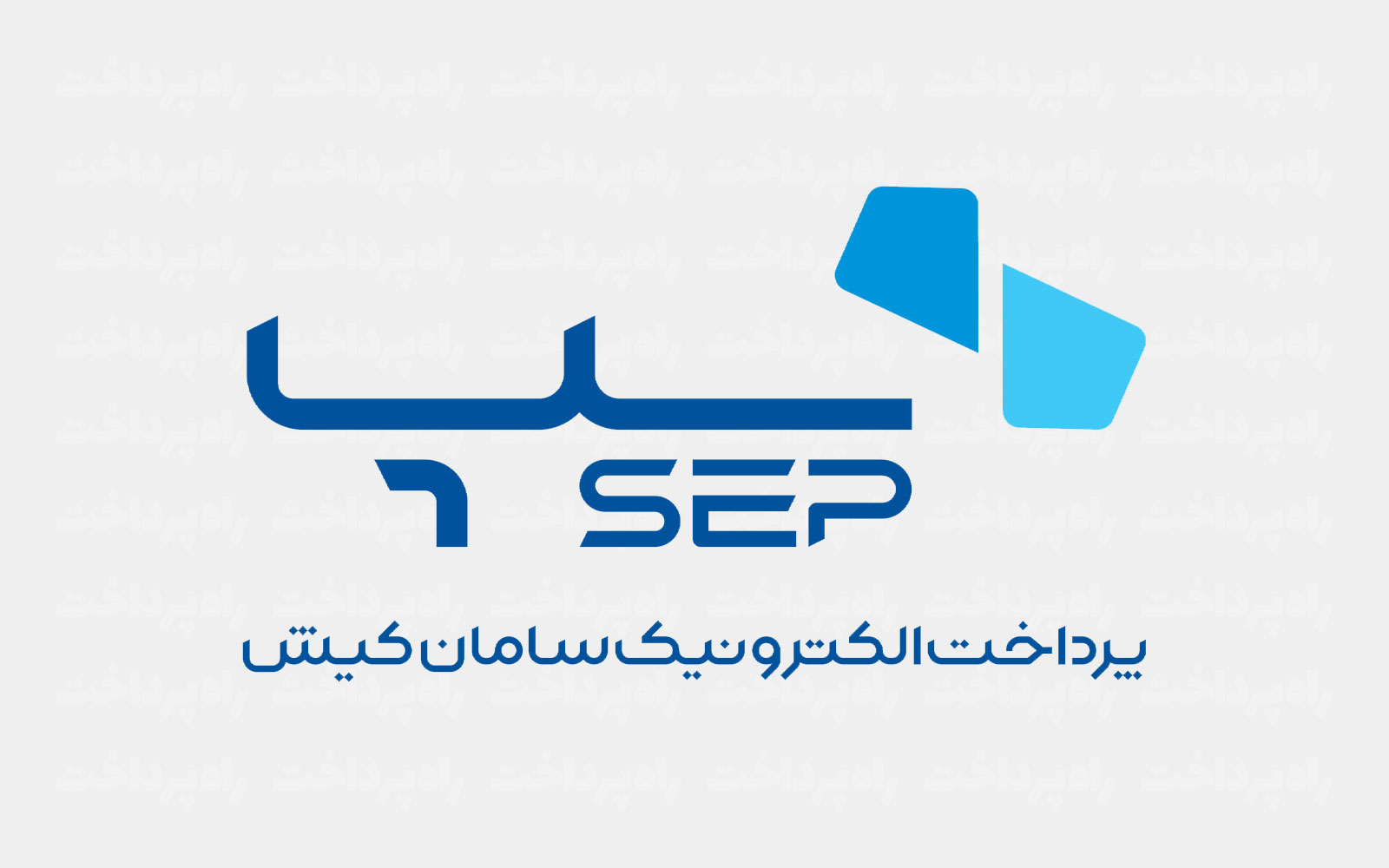 براساس گزارش شاپرک؛‌ سپ، صدرنشین بازار تعداد تراکنش‌های کارتخوان و خرید در دی‌ماه
