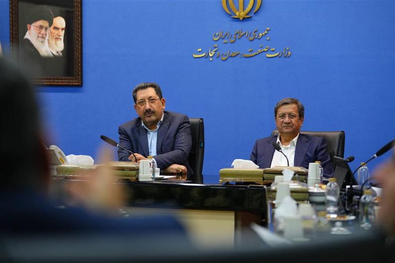 حذف موانع ارزی و ریالی تولید/ تسهیلات مورد نیاز واحدهای تولیدی پرداخت می‌شود